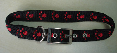 Pet Collar