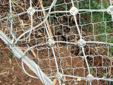 SNS Active Protection System