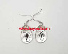 real insect earring,amber earring,bug earring