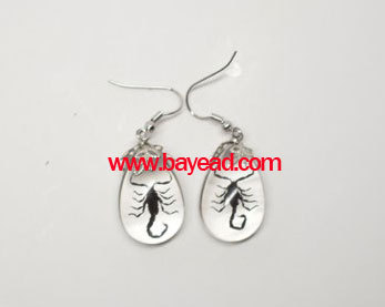 real insect earring,amber earring,bug earring