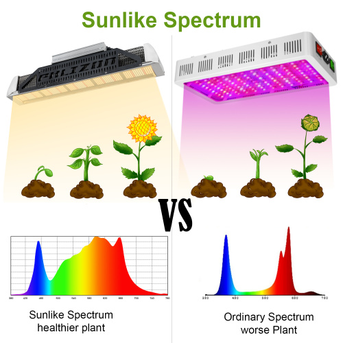 Tumbuhan Dalaman Spectrum Penuh Berkekuatan Tinggi Berkembang Cahaya