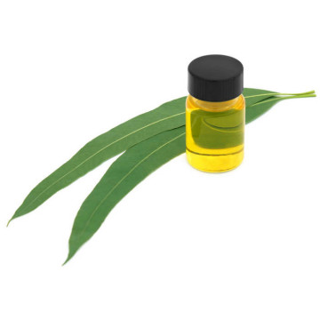 Bulk Lemon eucalyptol essential oil factory price