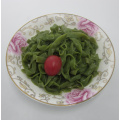 Ароматизированный шпинат с томатным вкусом Konjac Shirataki Fettuccine Pasta