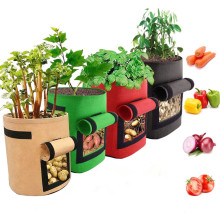 Potato Grow Bag with windows