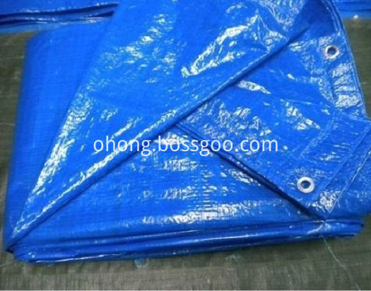 Blue Color PE Tarpaulin 