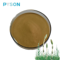 Equisetum arvense Extract Silicone 7%