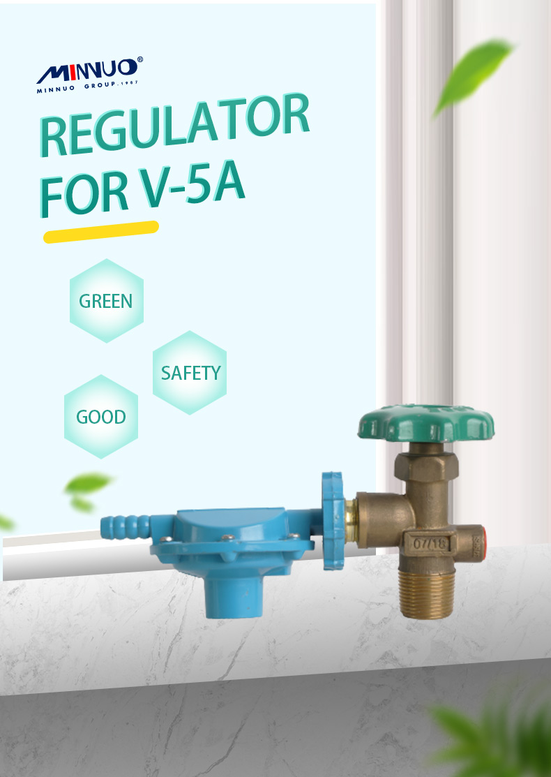 portable domestic v-5a regulator