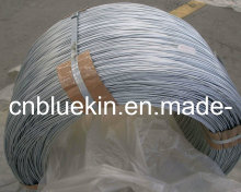 Hot Dipped Galvanzied Roping Wire