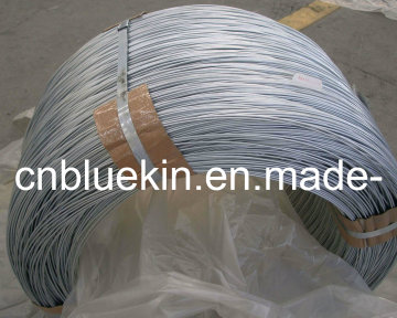 Hot Dipped Galvanzied Roping Wire