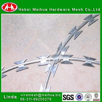 double razor/bared razor wire/concertina razor