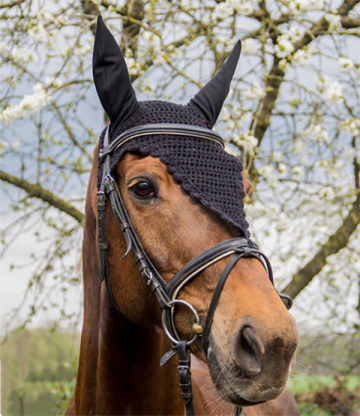 anti-mosquito horse fly mask