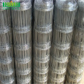 galvanized knitted iron wire mesh field fence