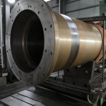 rudder horn and rudder carrier