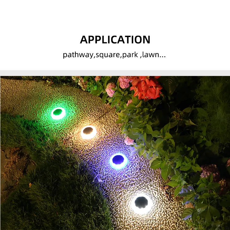 Eco-Friendly LED Solar Garden Lights for Outdoor Spaces