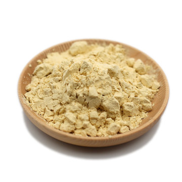 Pea Protein Powder Orgânica