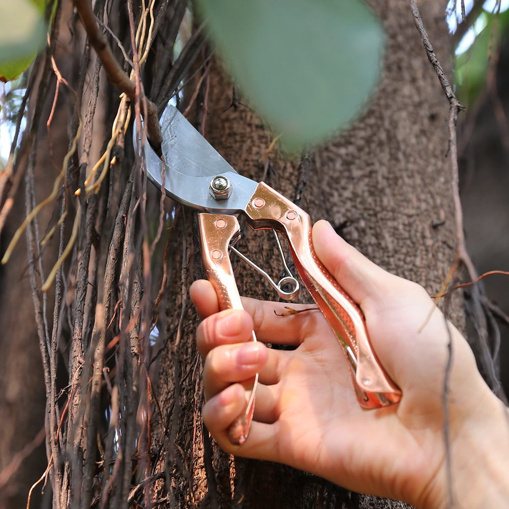 Sécateurs durables professionnels de ciseaux de jardin de dérivation pour la branche d'herbe et d'arbre