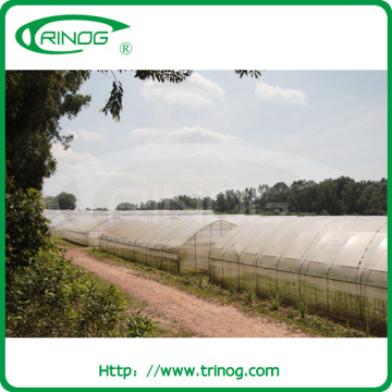 Economical used greenhouse frames for sale