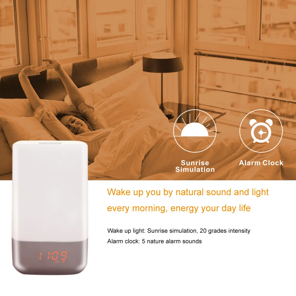 Sunrise Simulation Alarm Clock with LED Night Light