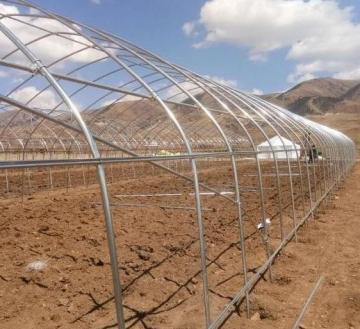 galvanized steel pipe for greenhouse frame gi pipe