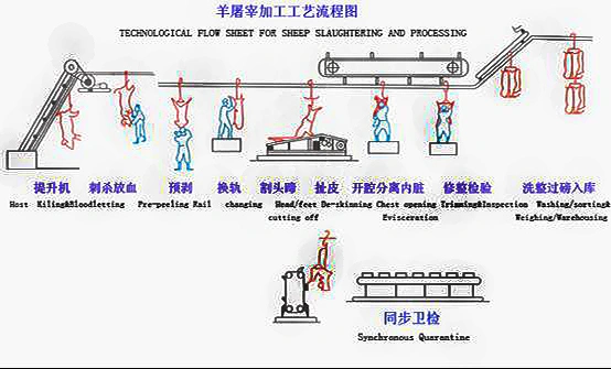 Turnkey Sheep Goat Slaughtering Equipment Slaughter Line