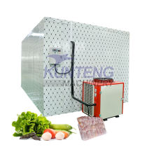 Small Cold Room Refrigerator Freezer Equipment