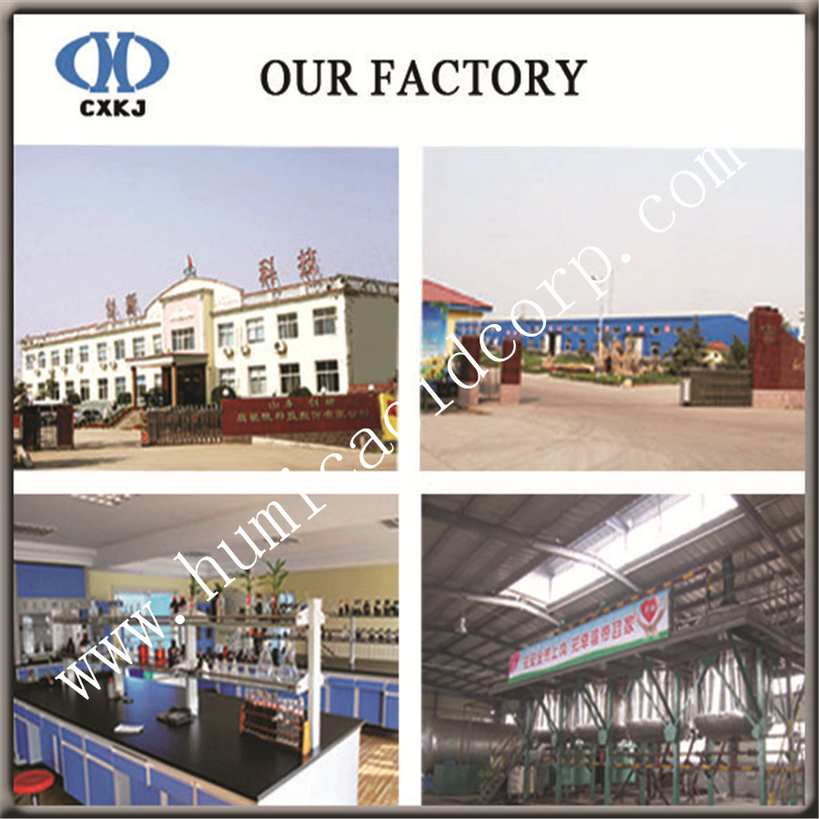 Potassium humate production Potassium humate production