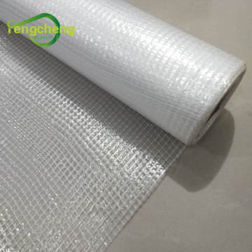 Transparent white film canvas tarp