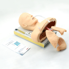 Medical Science: Comprehensive Training with the Advanced Multifunctional Airway Management Simulator
