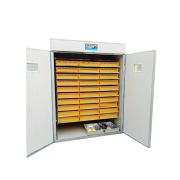 Competitive Price Chicken Egg Incubator 5000 Eggs Hatchery Machine