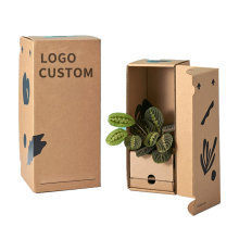 Wholesale Custom Corrugated Live Plant Shipping Boxes with Handles