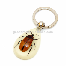 Factory Wholesale Insect Key Ring