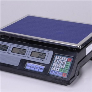 Scale With Iron TS-833
