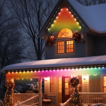 RainbowColor RGBIC Eaves Light - Smart Permanent Outdoor Lights with Voice Remote Control for Gift APP