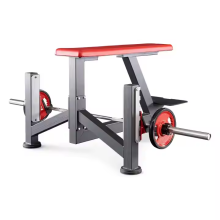 The Seal Row Bench Commercial Gym Equipment