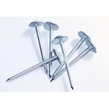 Best Plain Shank Umbrella Roofing Nails