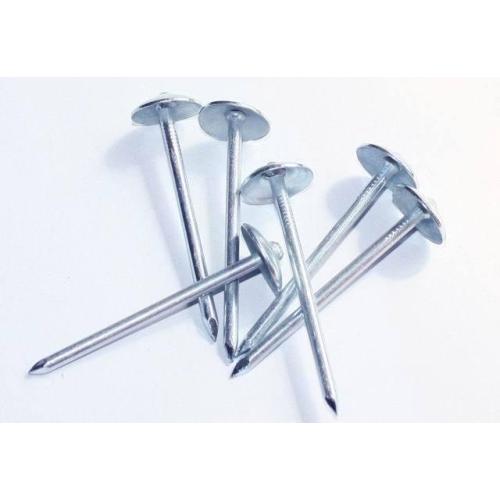 Best Plain Shank Umbrella Roofing Nails