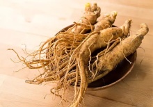 Panax Ginseng Extract 2023