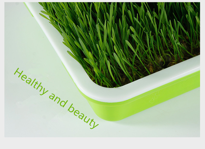 Setzlingsschale 5 seedling tray 5