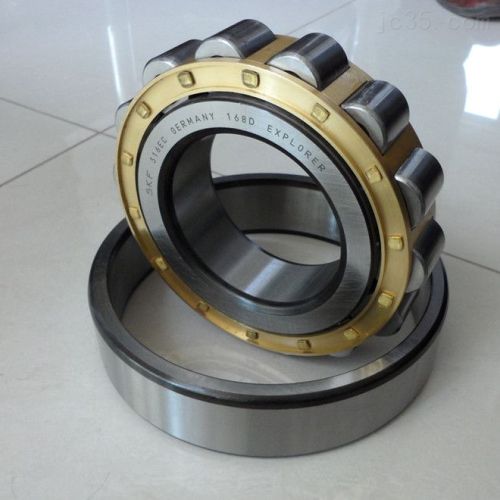 Double Row Cylindrical Roller Bearing (NN3052K/W33)