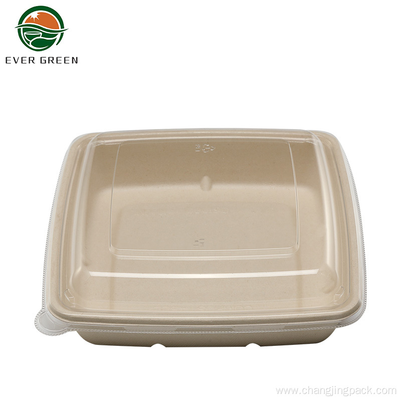 Eco Friendly Biodegradable Salad Packaging Food Container