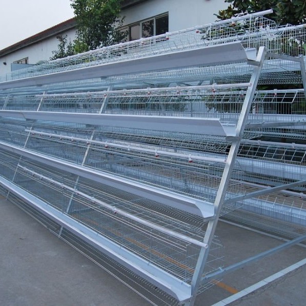 Chicken egg layer cage hot dipped galvanized low cost broiler battery factory supply
