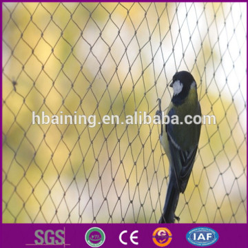 bird netting for fruit trees/uv warp knitted bird net/professional bird net