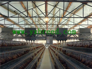 poultry coop