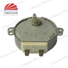 Micro Wave Cooker Motor