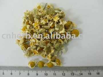 chamomile flower oil/German chamomile/Roman chamomile