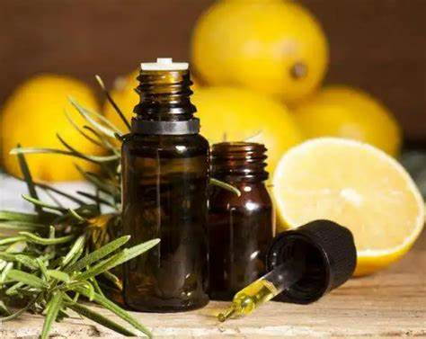Plant extract Plant extract