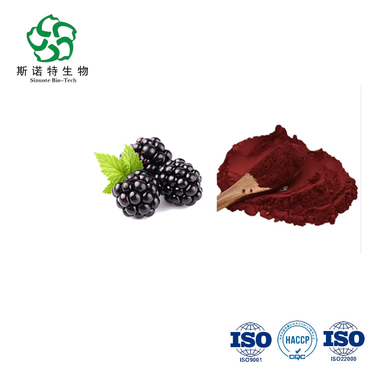 Mulberry Fruit Powder Mulberry Fruit Powder