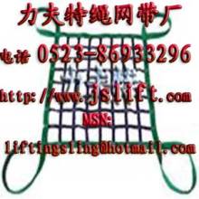 polyester web cargo net,webbing net