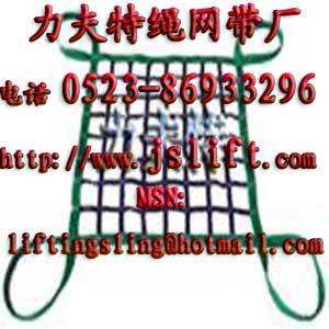 polyester web cargo net,webbing net