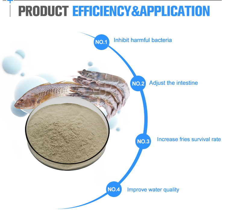 Top grade feed additives probiotic for biofloc fish farming